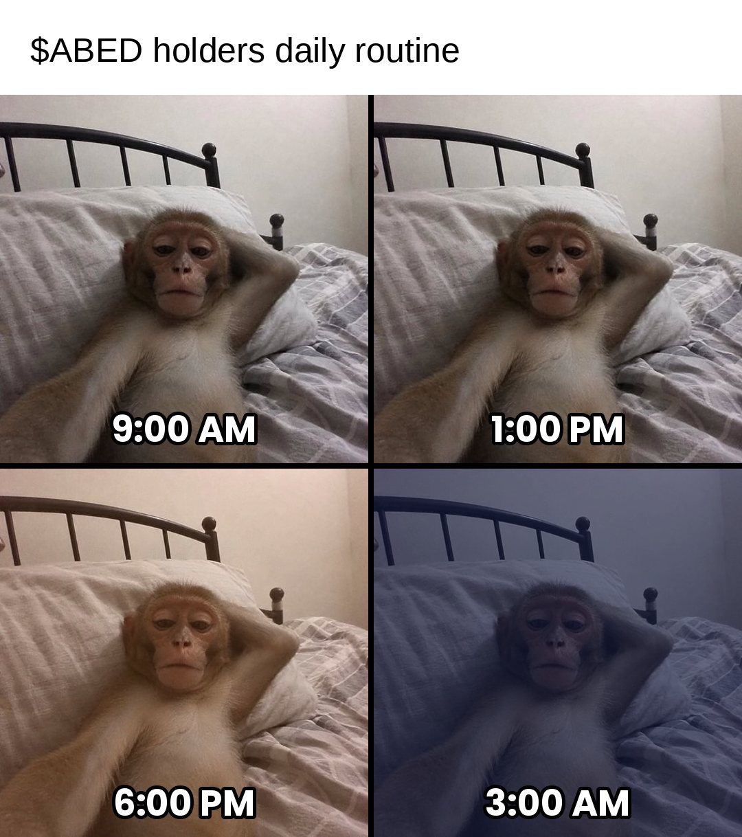 ABED holders daily routine, same pose at 9am 1pm 6pm 3am