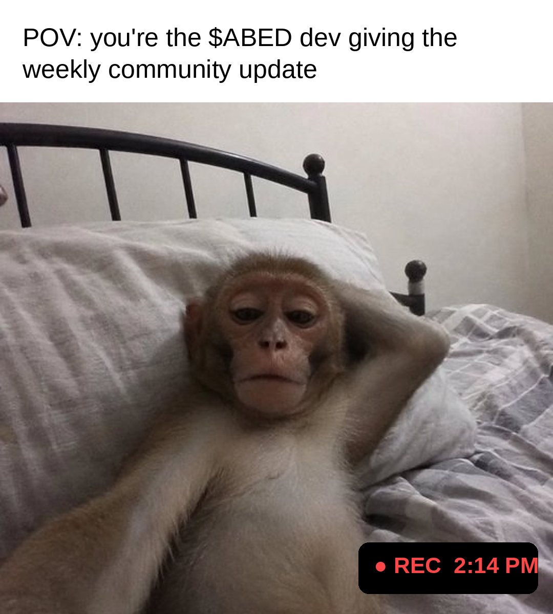 POV you're the ABED dev giving the weekly update