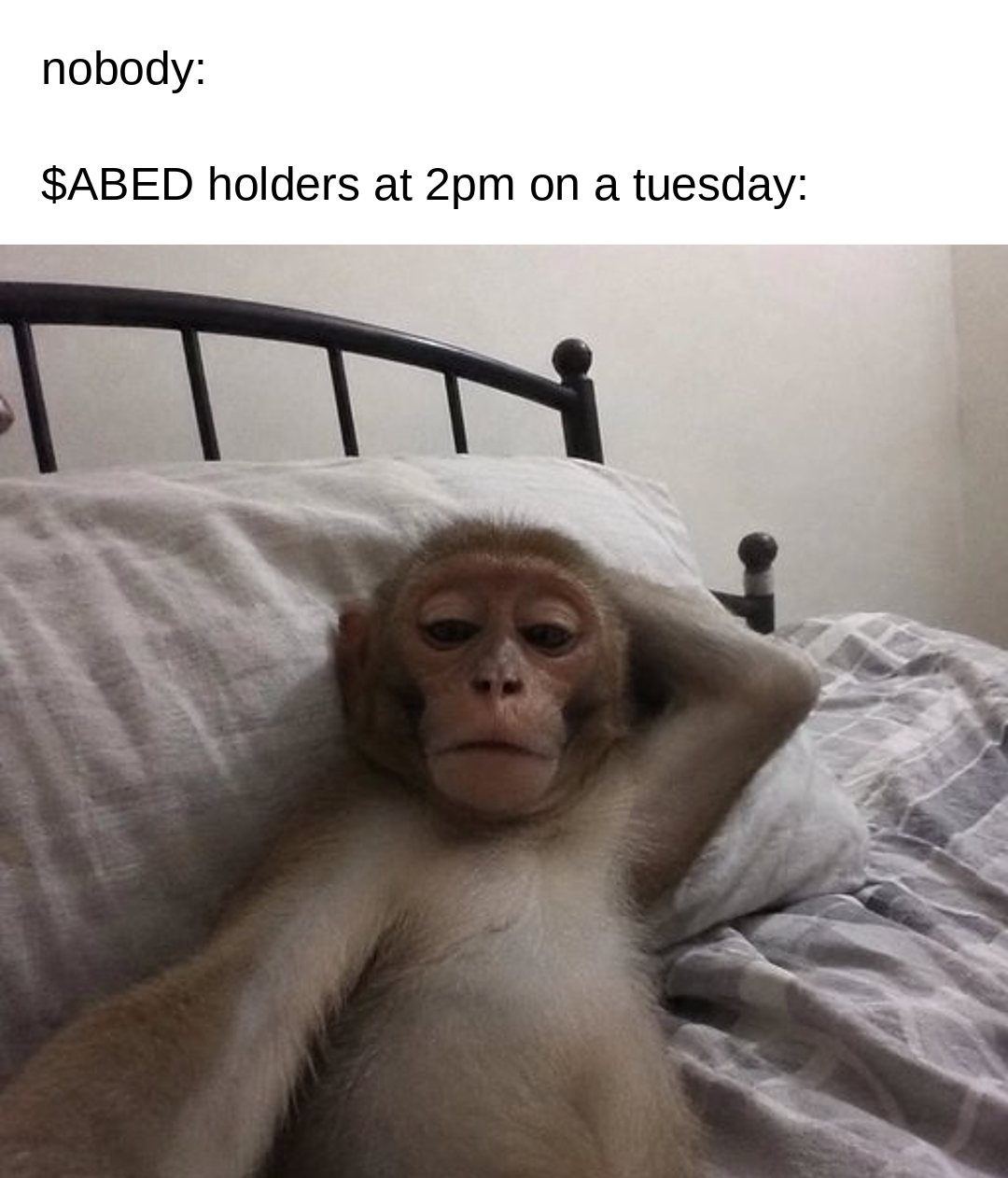nobody: ABED holders at 2pm on a tuesday