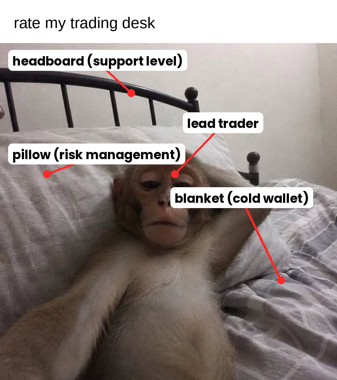 rate my trading desk, labelled bed